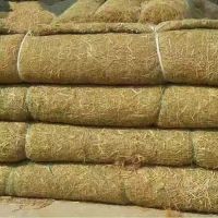 天然椰絲植生毯