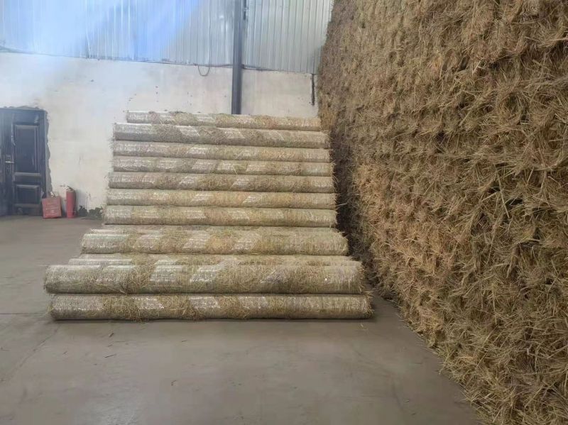 植物纖維毯